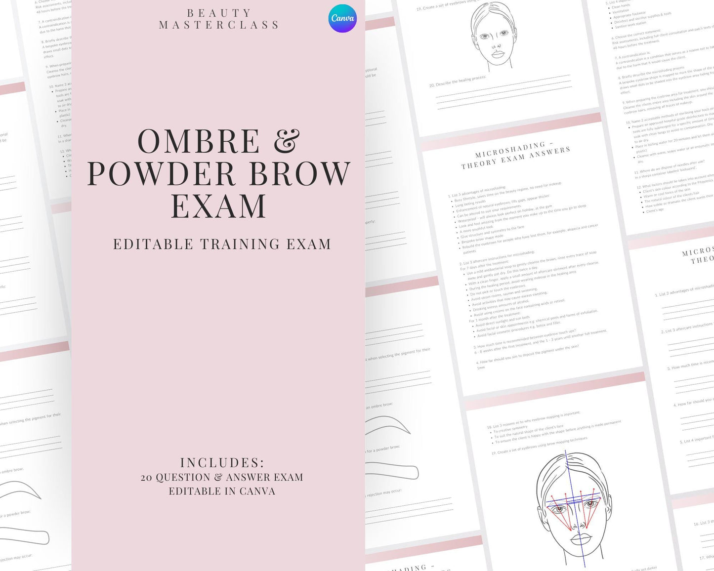 Microshading Ombre and Powder Brow SPMU Editable Theory Exam