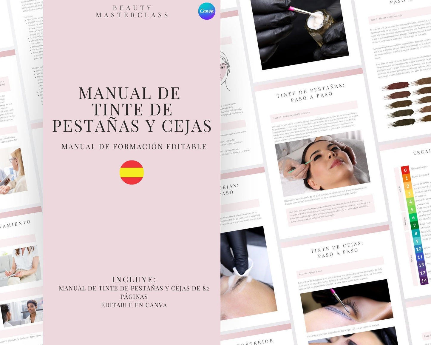 Spanish Lash and Brow Tint Editable Training Manual