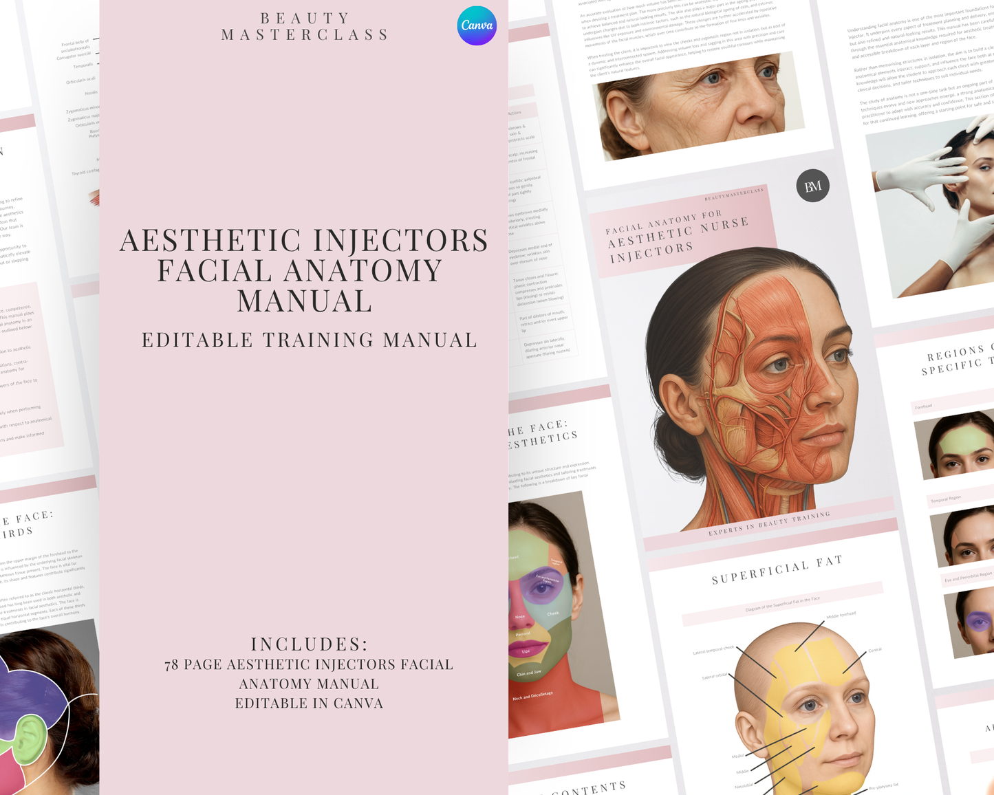 Facial Anatomy for Aesthetic Injectors Editable Training Manual