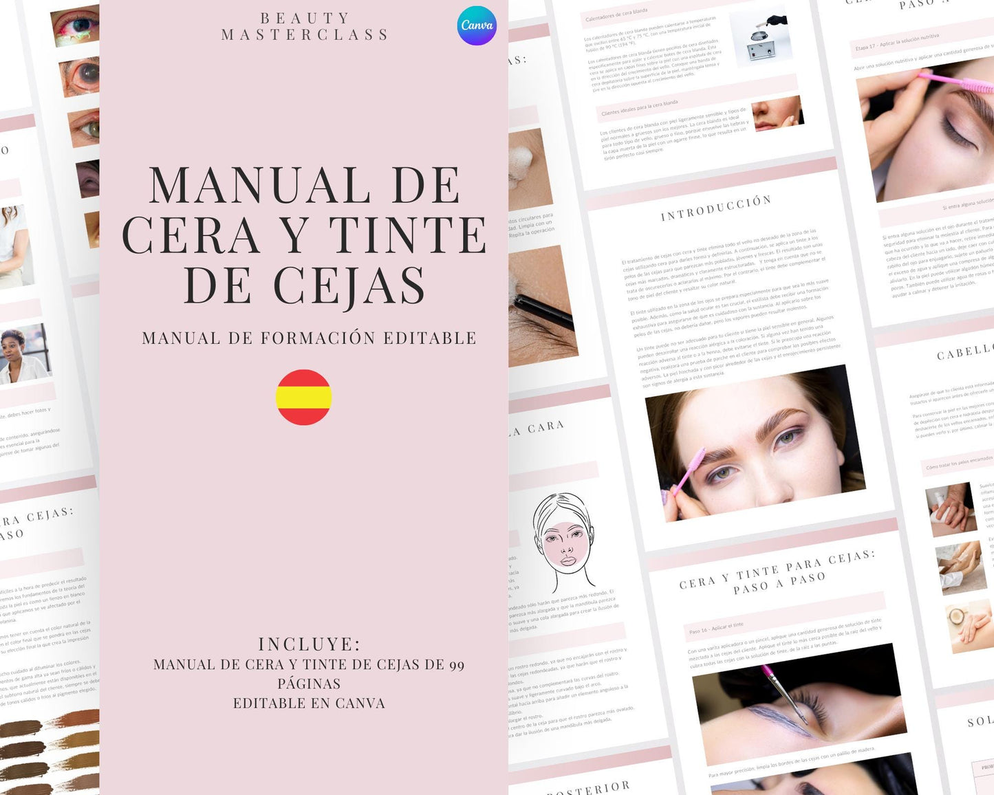 Spanish Eyebrow Wax & Tint Editable Training Manual