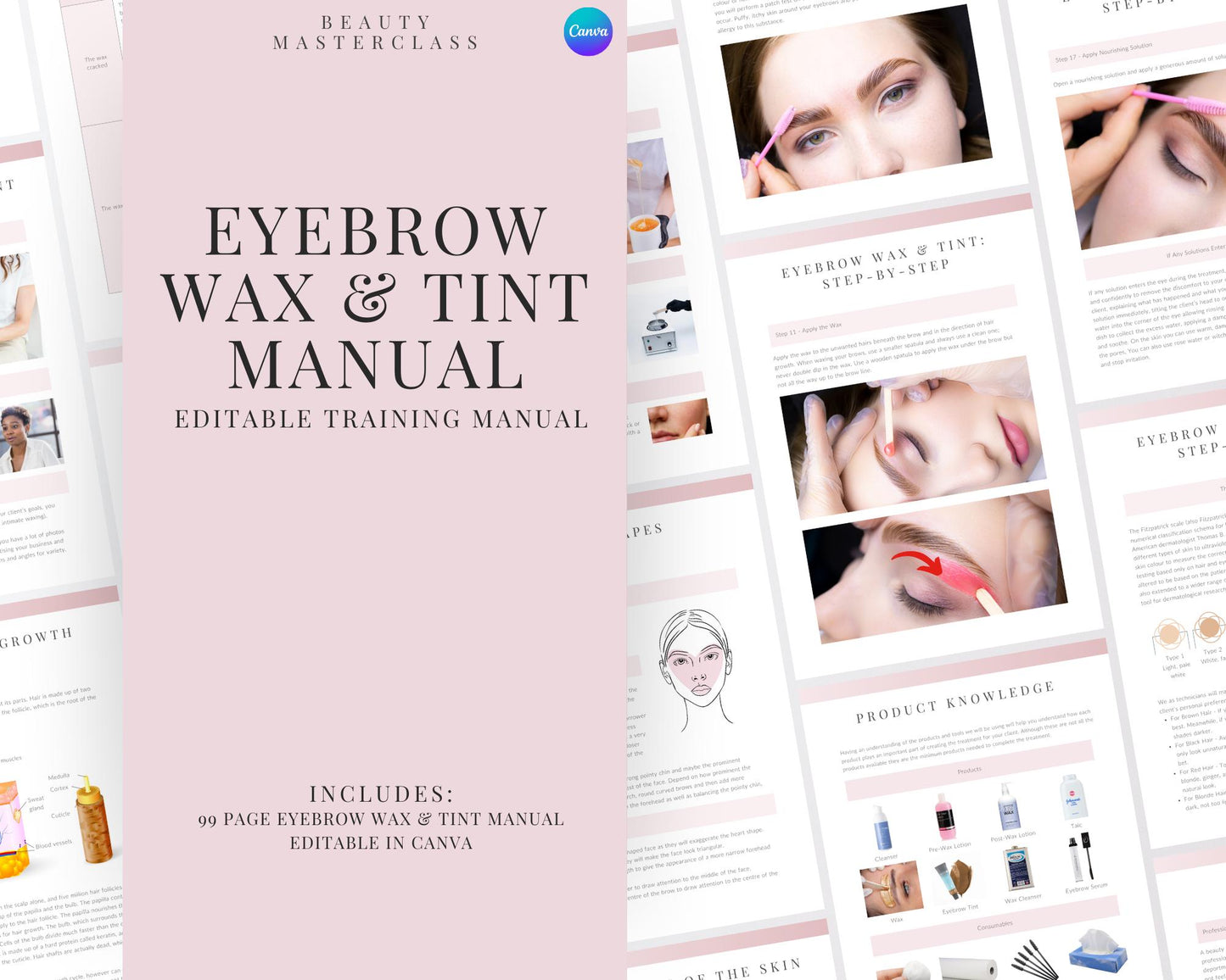 Eyebrow Wax & Tint Editable Training Manual