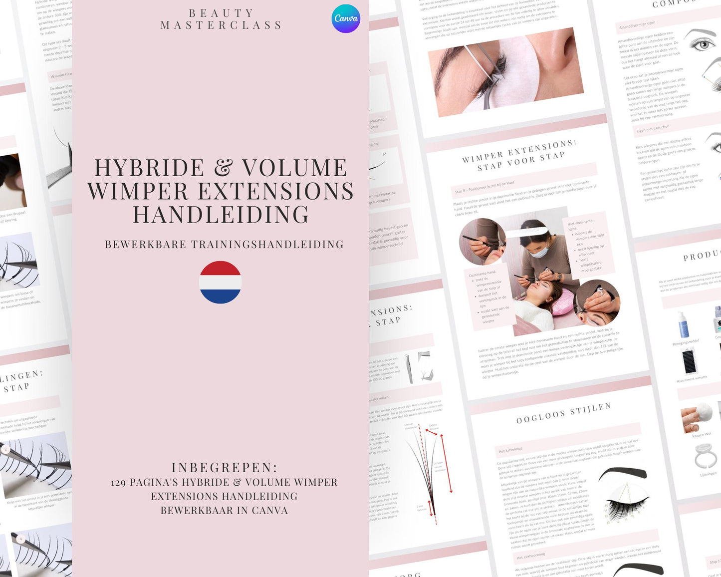 Dutch Hybrid and Volume Lash Extension Editable Training Manual