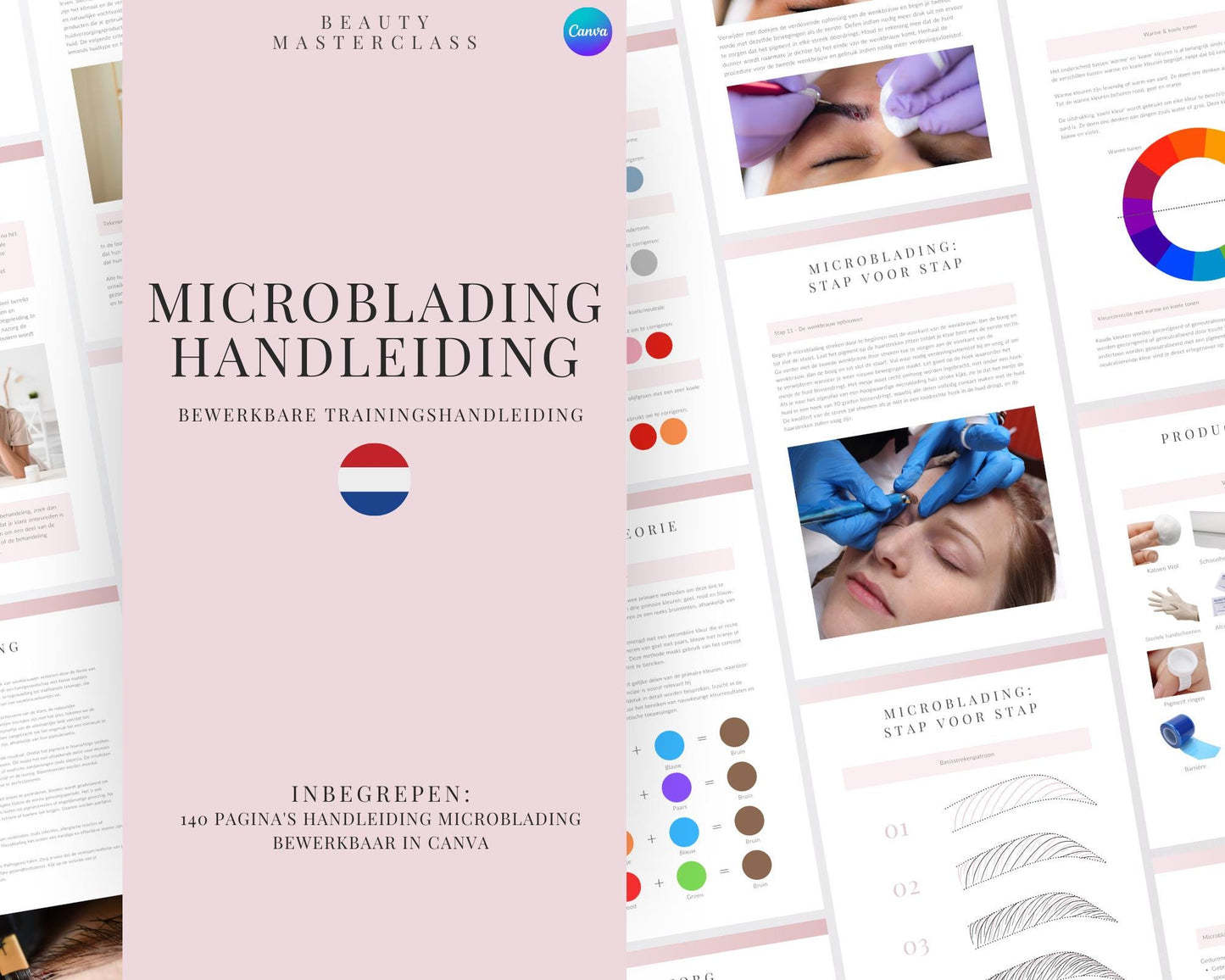 Dutch Microblading Editable Training Manual