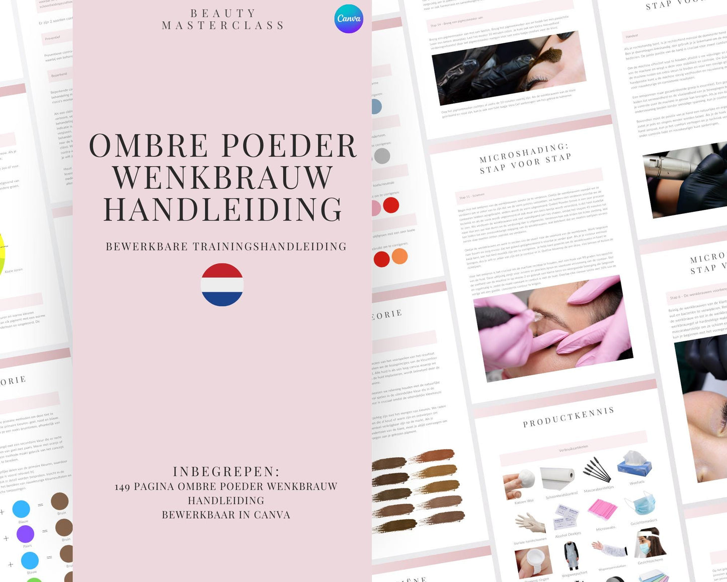 Dutch Ombre & Powder Brows Microshading Editable Training Manual