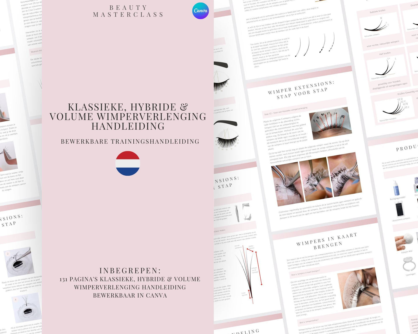 Dutch Classic Hybrid and Volume Lash Extension Editable Training Manual