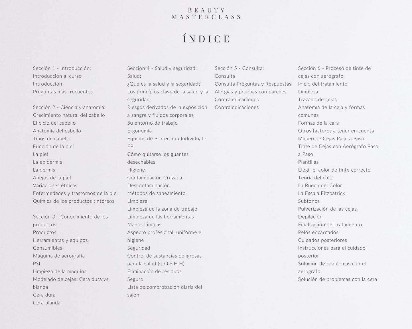 Spanish Airbrush Brow Tint Editable Training Manual