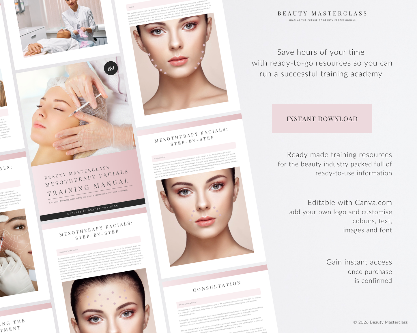 Mesotherapy Facials Aesthetic Editable Training Manual