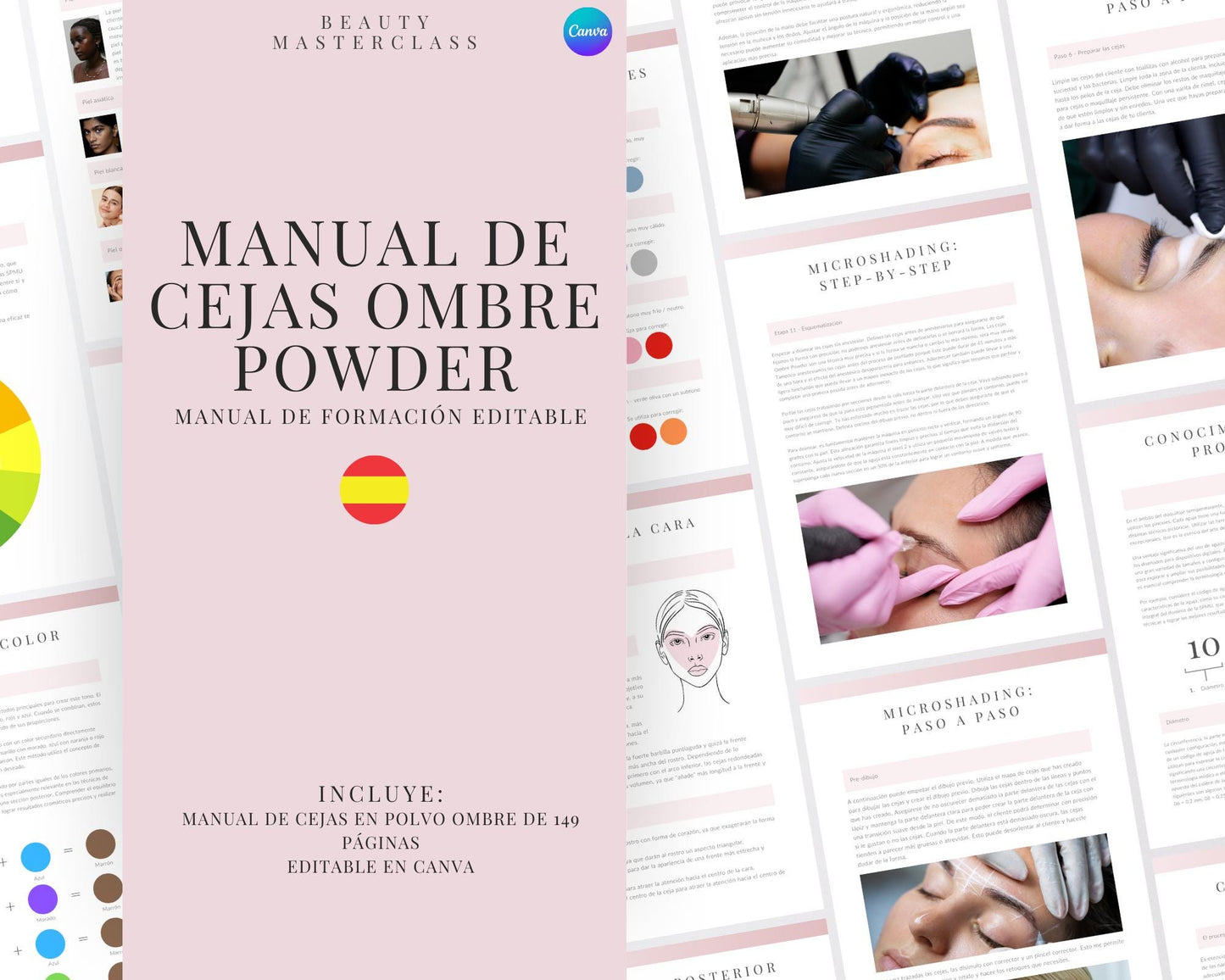 Spanish Microshading Editable Training Manual