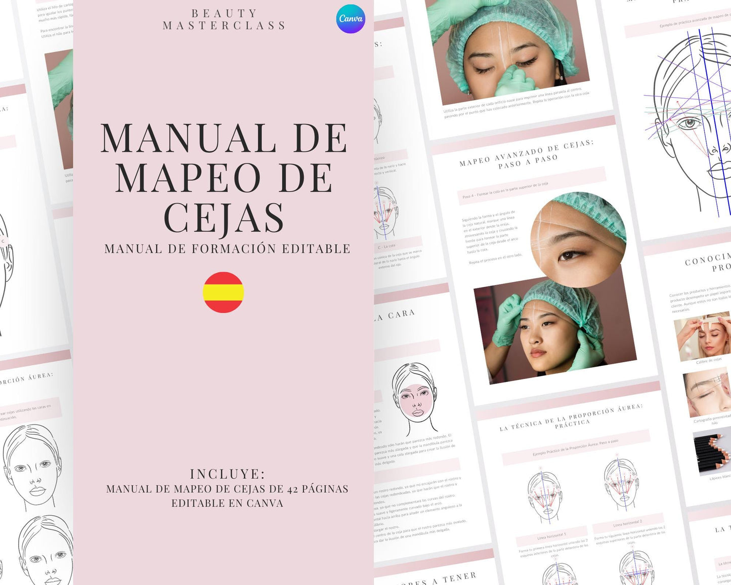 Spanish Brow Mapping and Measuring Editable Training Manual