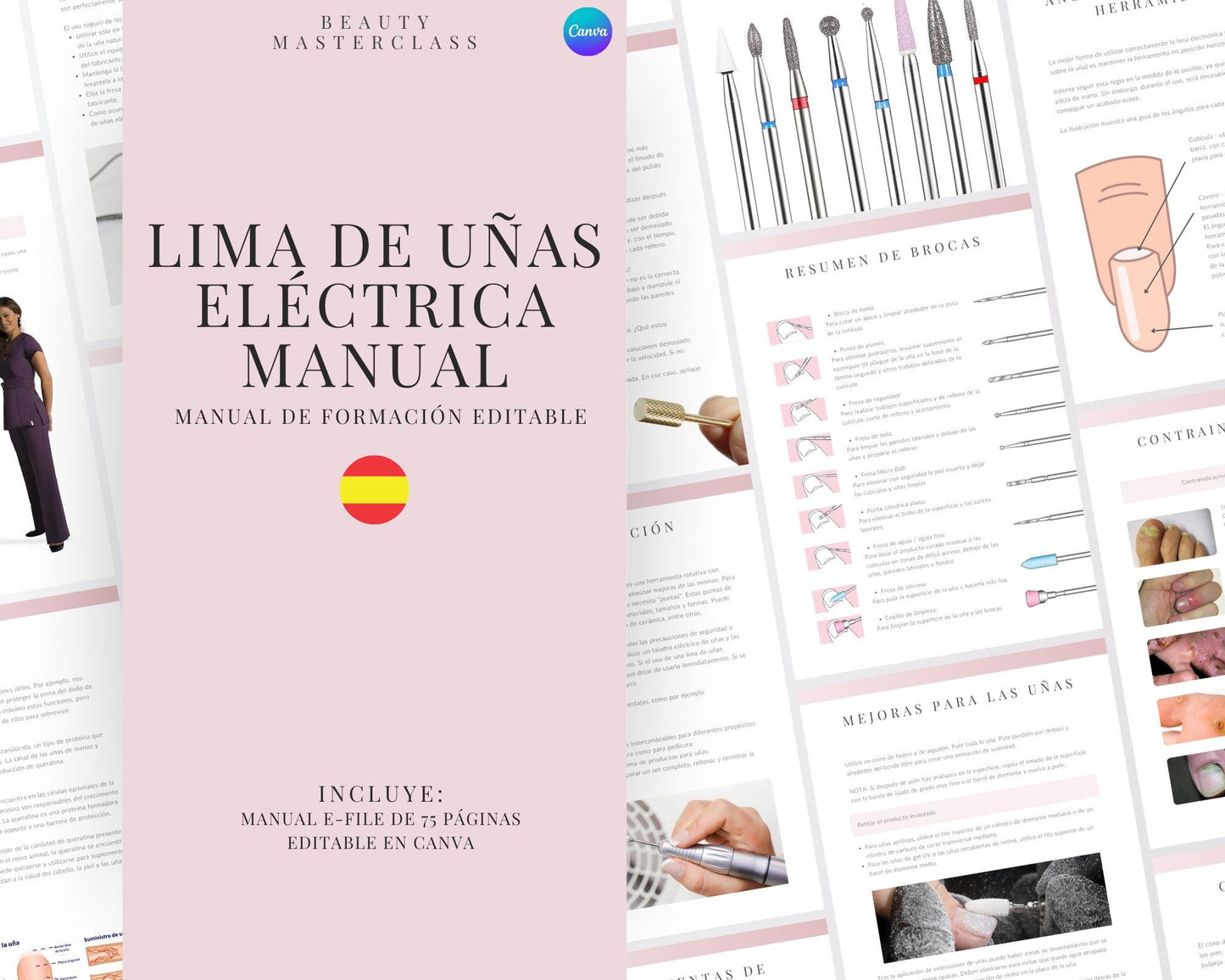 Spanish E-File Editable Training Manual